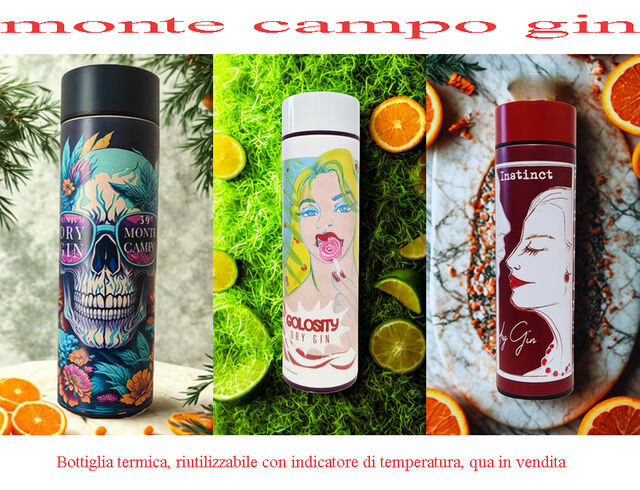 Tre Gin dalle botaniche agrumate