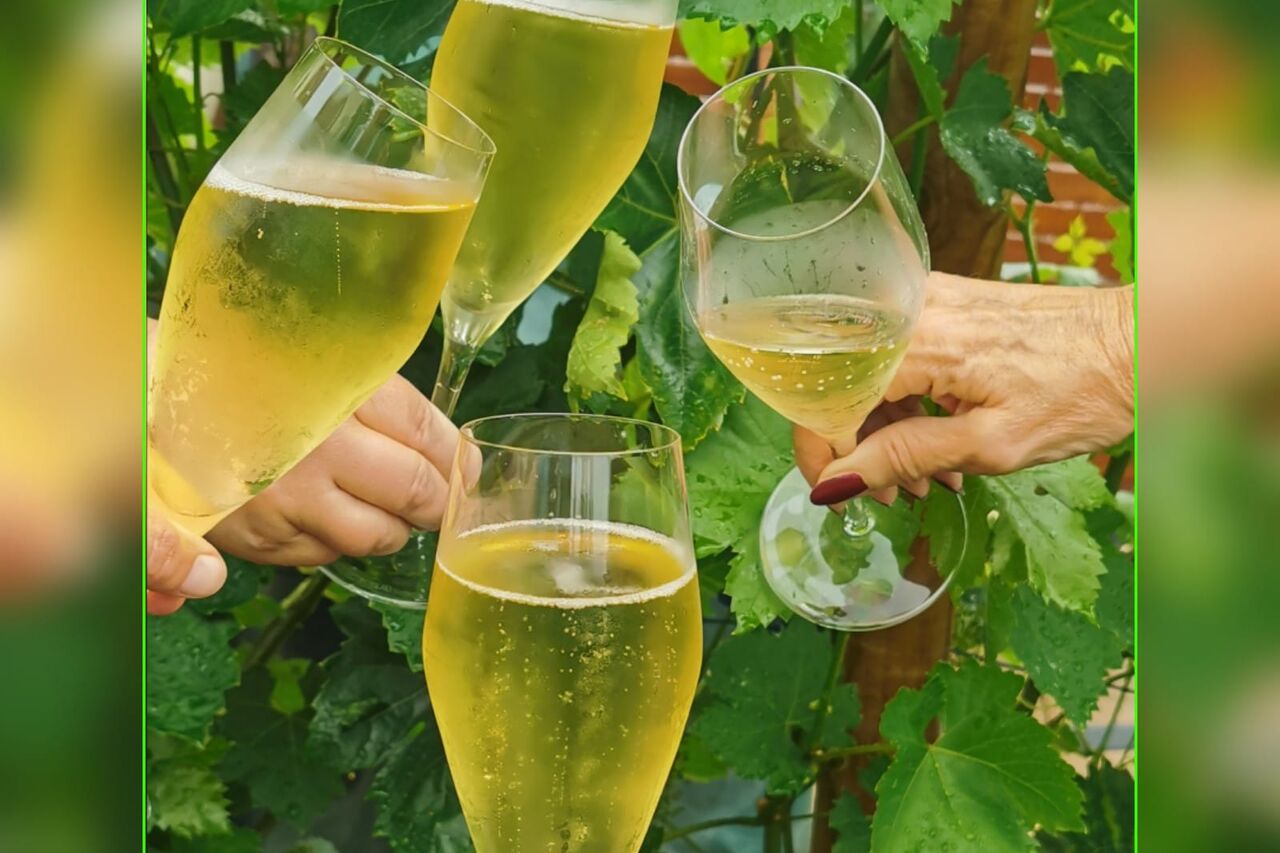 Veranstaltungen im Weingut Sohns