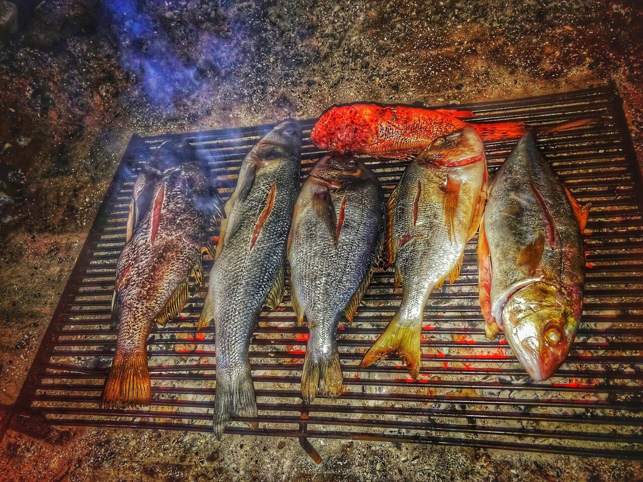 Oborita riba