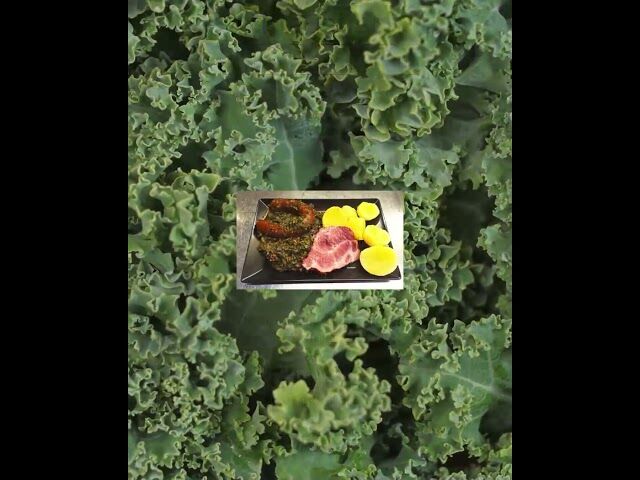 Unser Mittagstisch für die kommende Woche