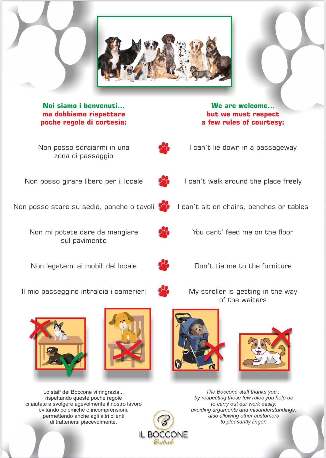 Regole per i cani!