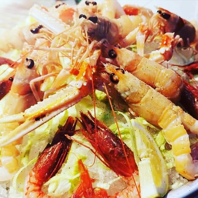 Misto crudo