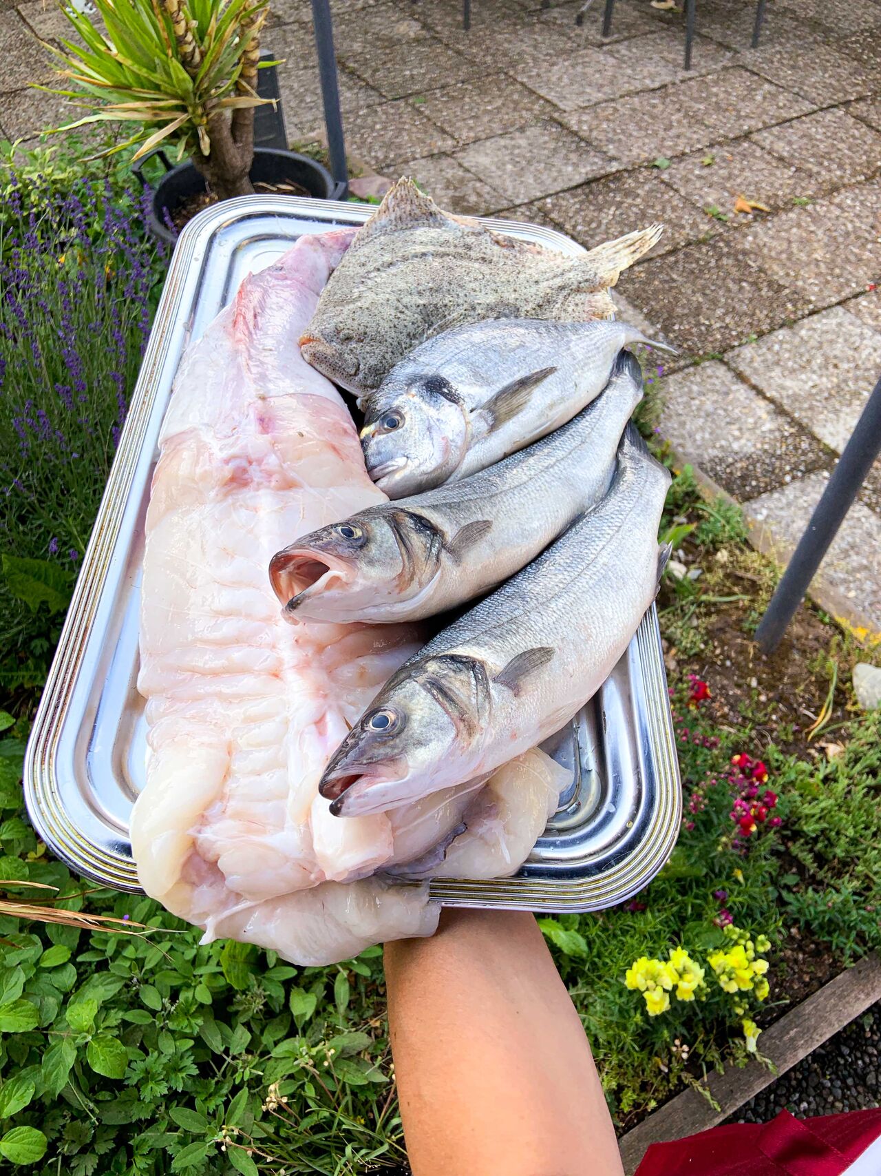 Frischer Fisch, so lange der Vorrat reicht