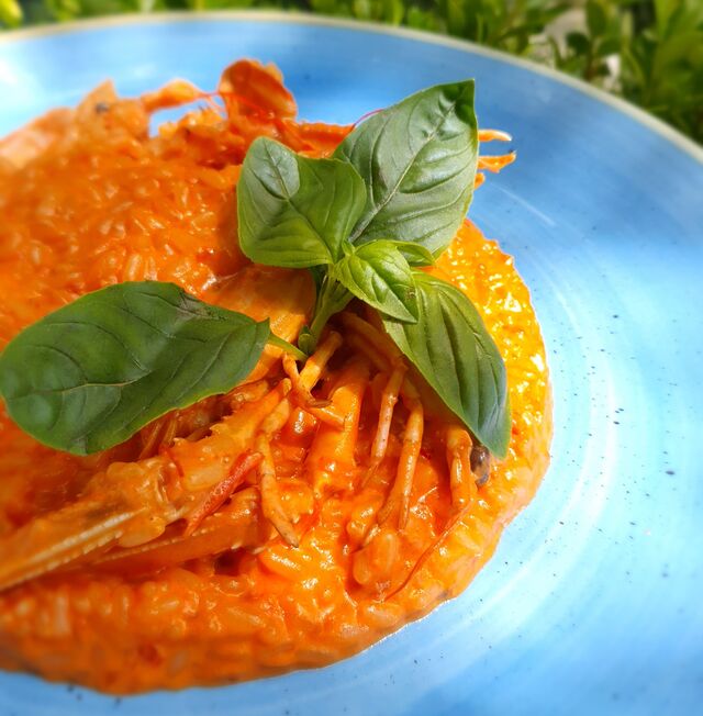 Il risotto alla crema di scampi