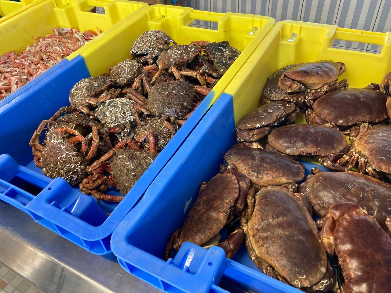 Arrivage régulier en direct de la criée de Lorient.