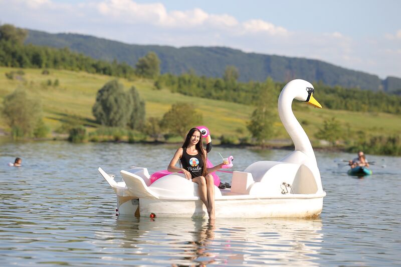 Máme k zapůjčení tři labutě šlapadla