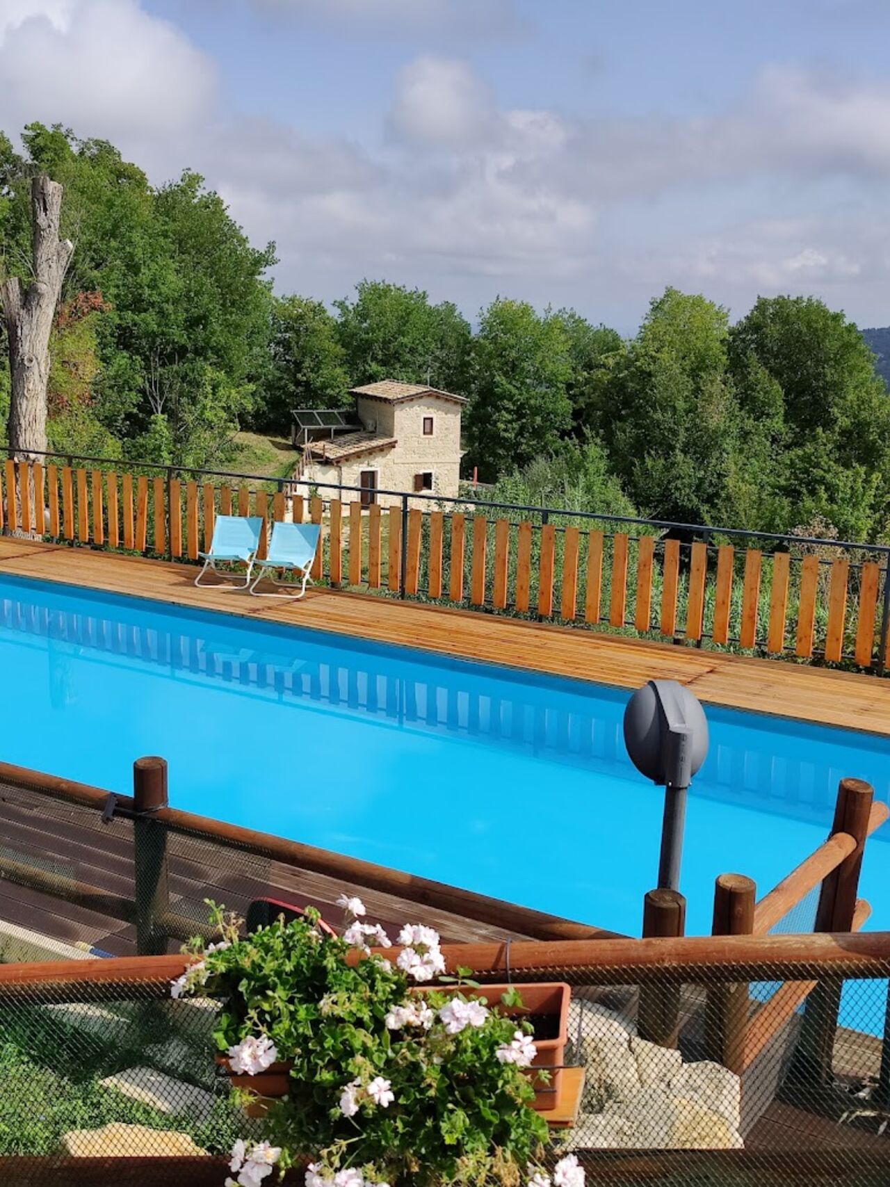 La piscina con vista