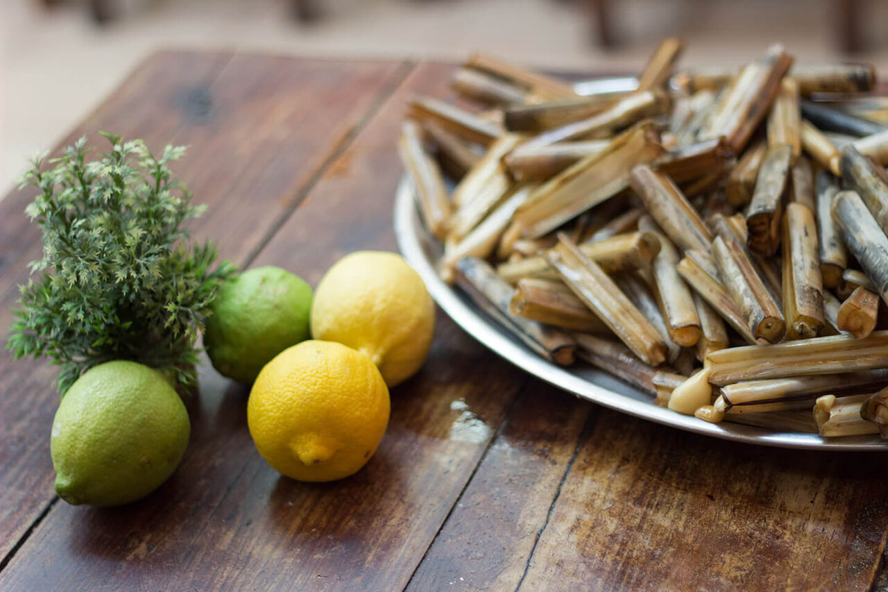 O Belo do Lingueirão