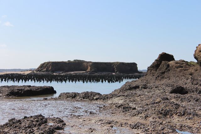 La Pointe du Bile quand nous partons à la pêche.