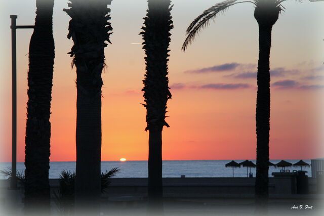 Cerquita de la playa de las Arenas en el barrio Canyamelar (Valencia)