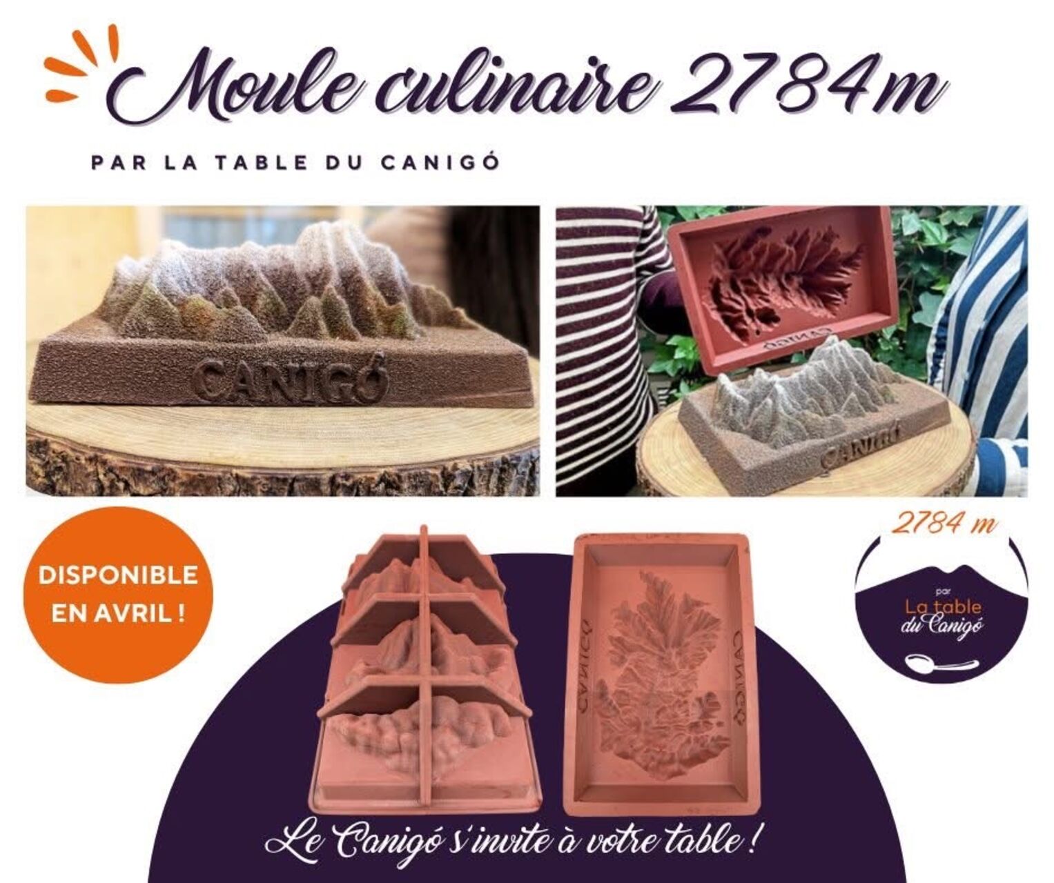 Moule culinaire 2784m