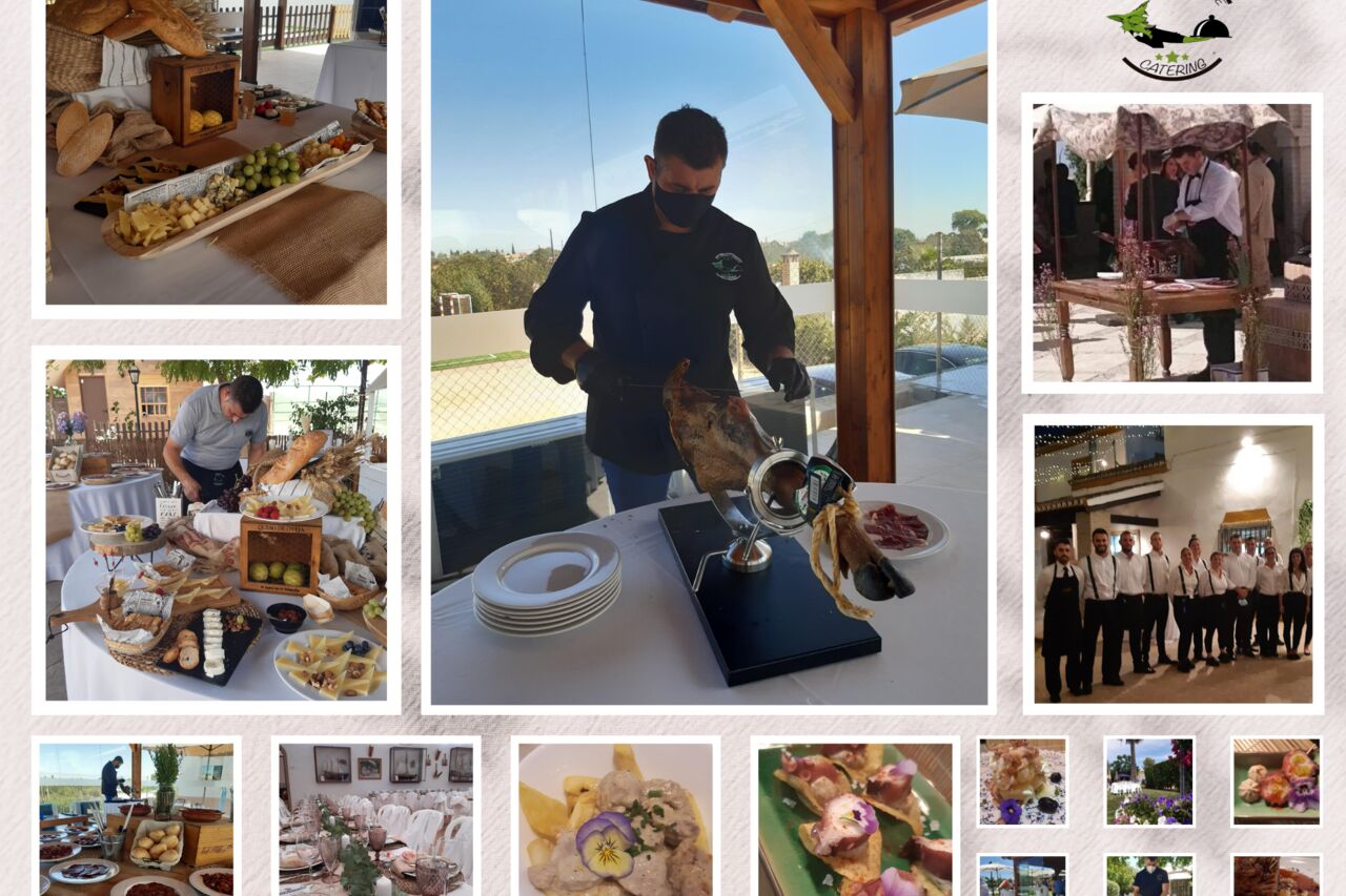 Servicios que ofrecemos