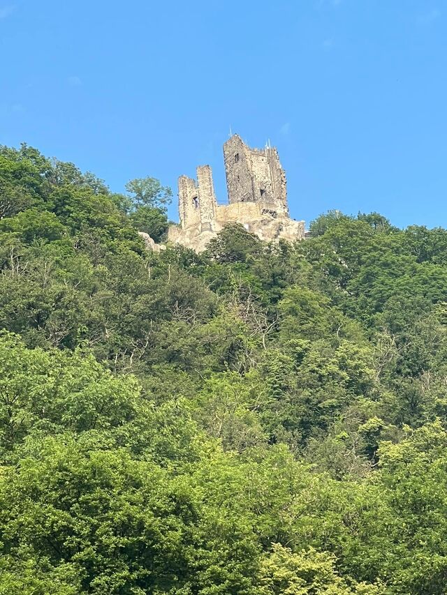 Drachenfels 