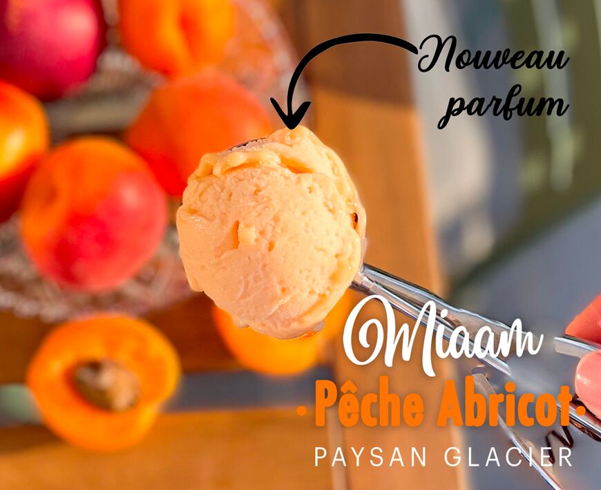 Sorbet plein fruit pêche/ abricot 