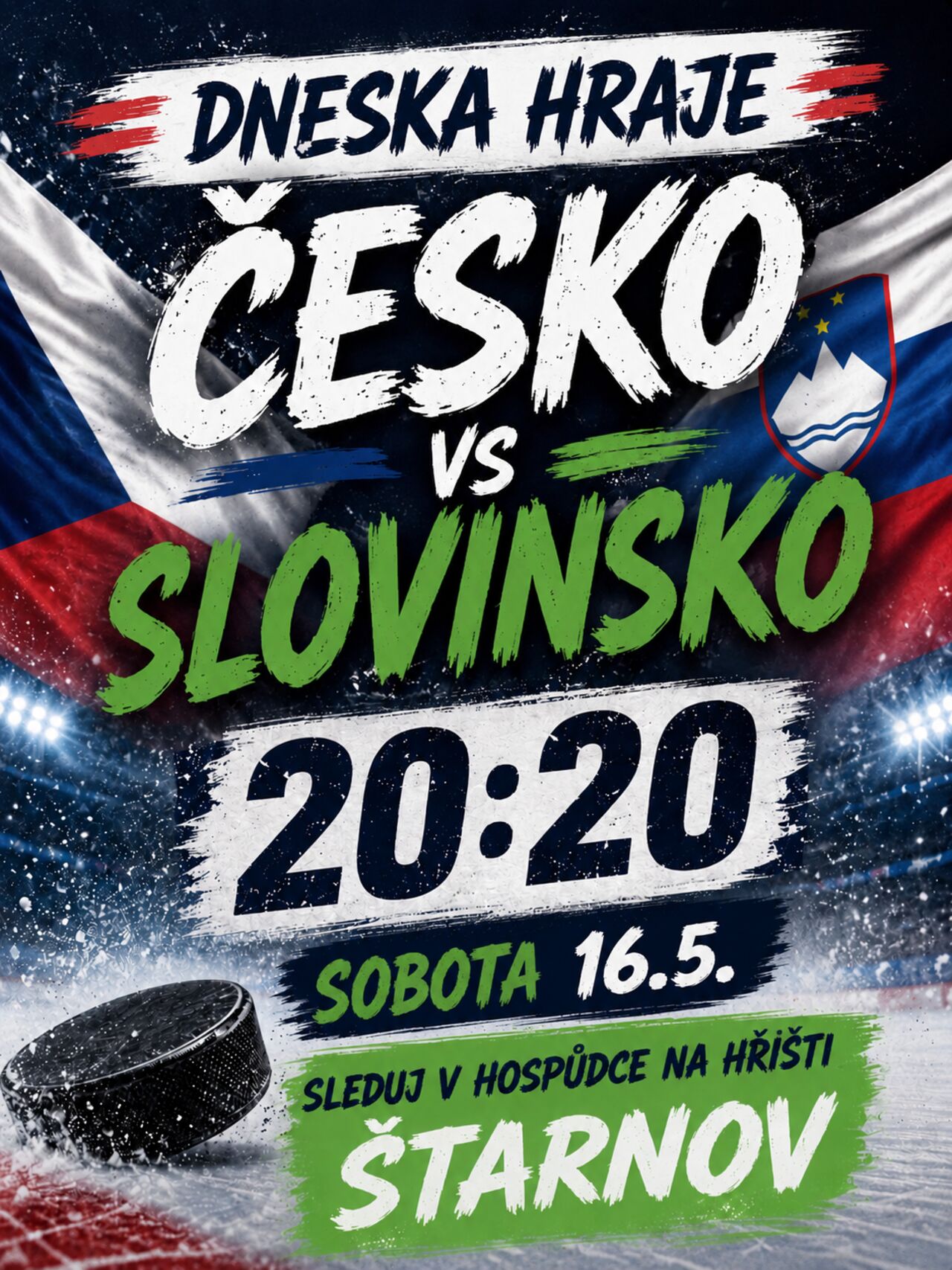 Hokejový zápas Česko x Slovinsko
