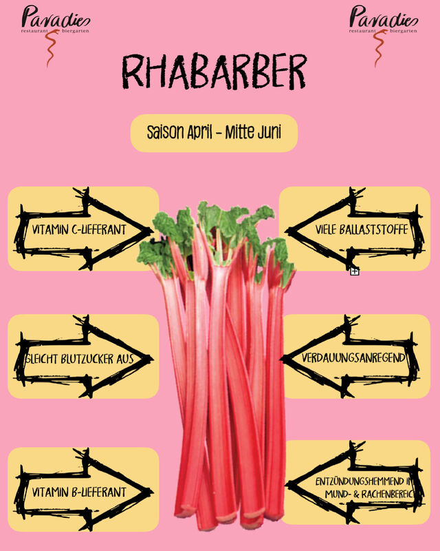 Saisonales Gemüse: Rhabarber