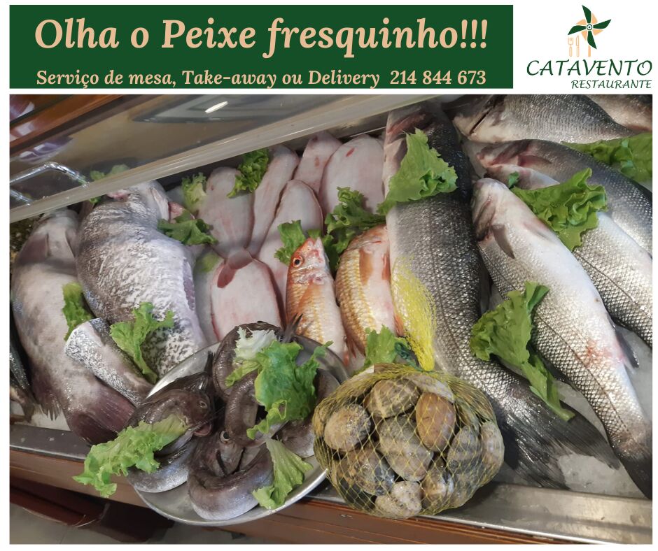 ????? fresquinho fresquinho ?????