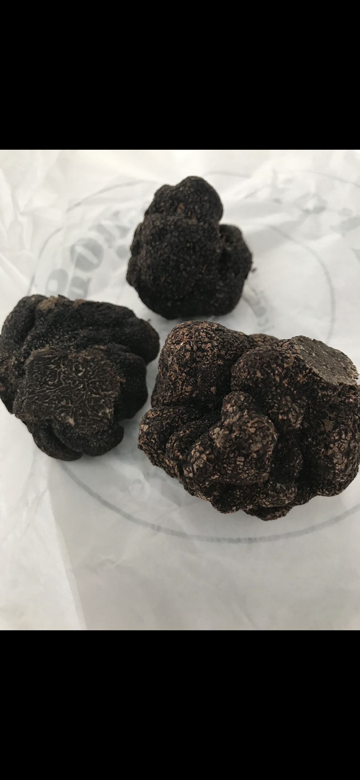 TRUFFES NOIRES