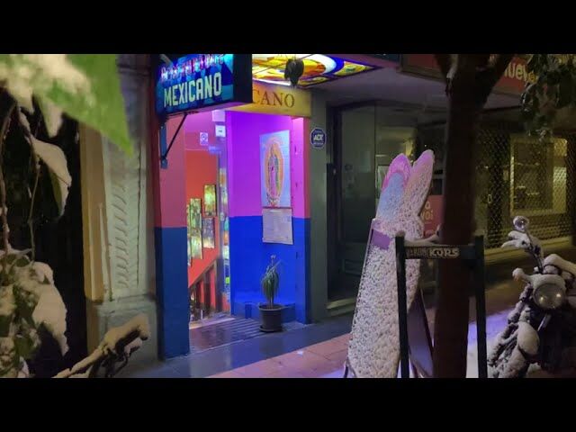 Y llegó la Nieve…