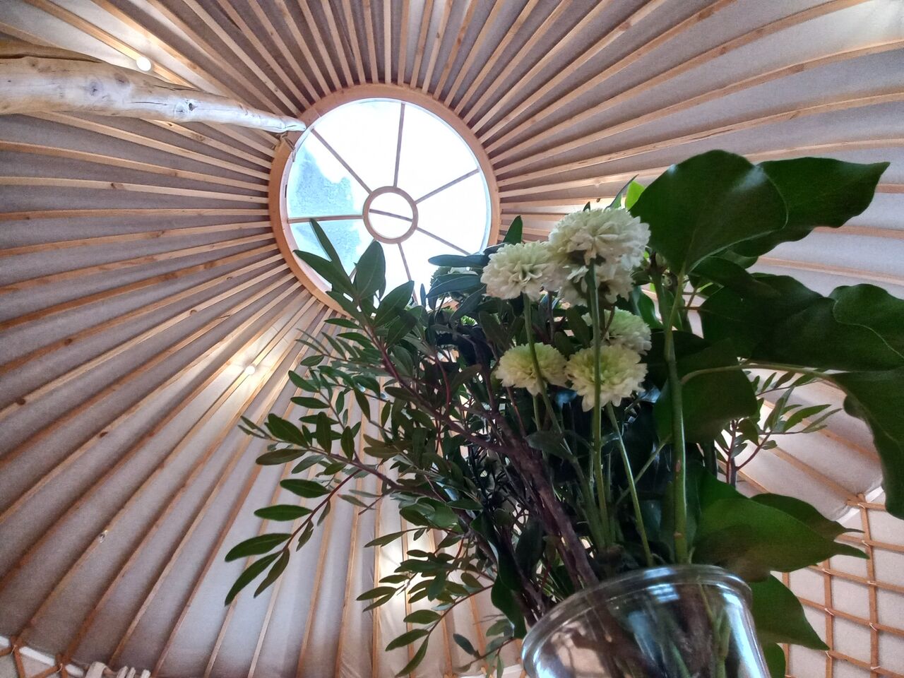 Sous le Toono lumineux