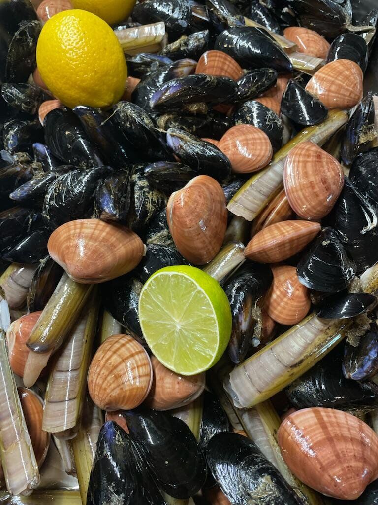 Pesce fresco