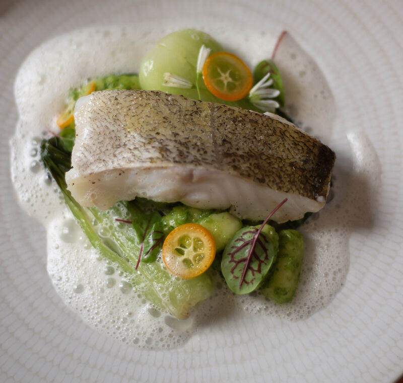 Filet de lieu jaune, pack choï, gnocchis et pesto verde