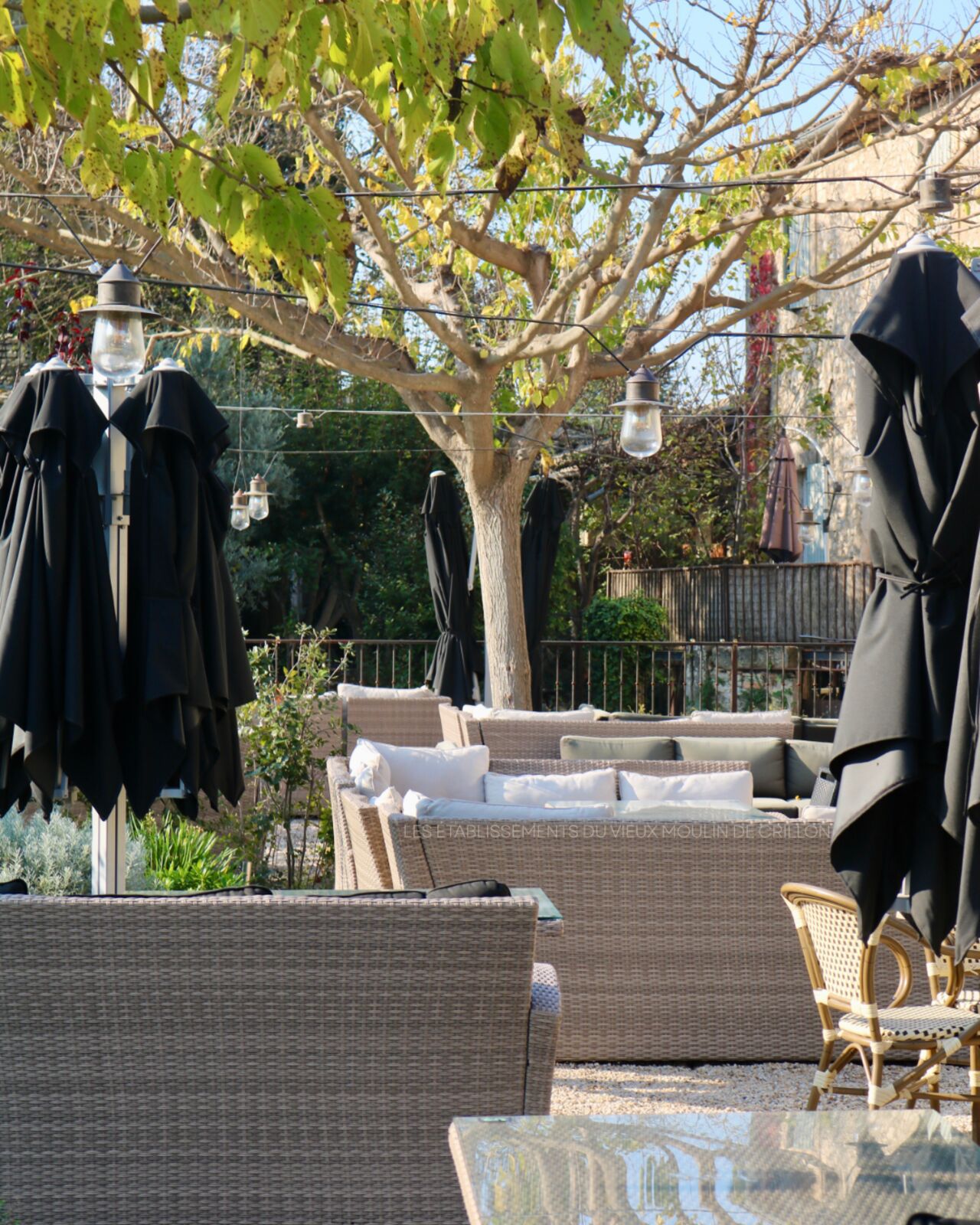 Le Glacier reste ouvert l’hiver ✨