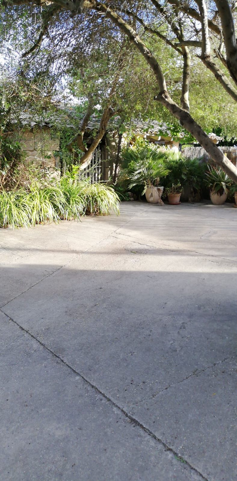 La terrassa està preparada