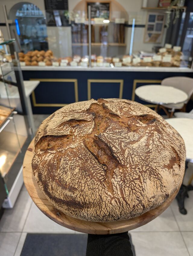 Tourte de Petit Epeautre BIO