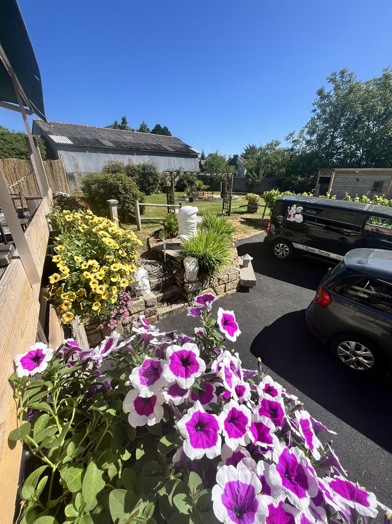 Le jardin vu de la terrasse. 