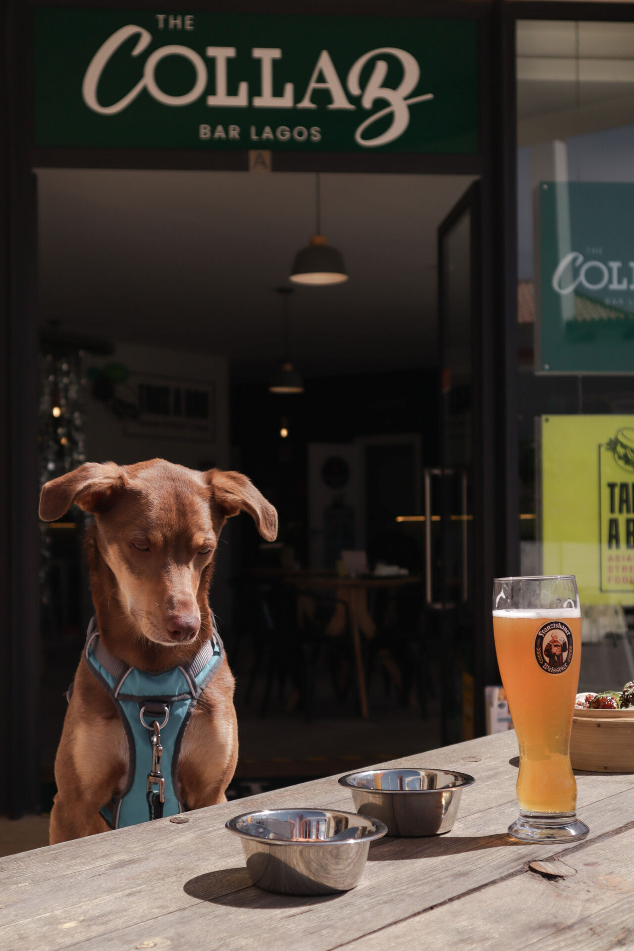 Are we pet friendly?