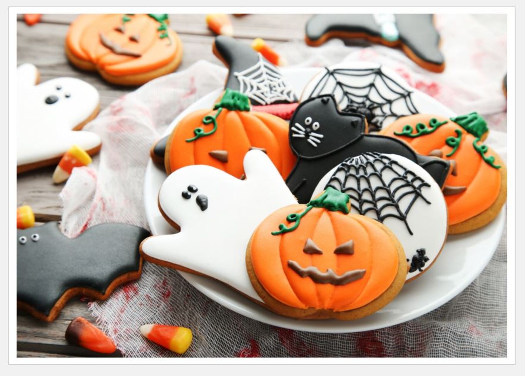 Freitag, 31.10.2025 Reformationstag