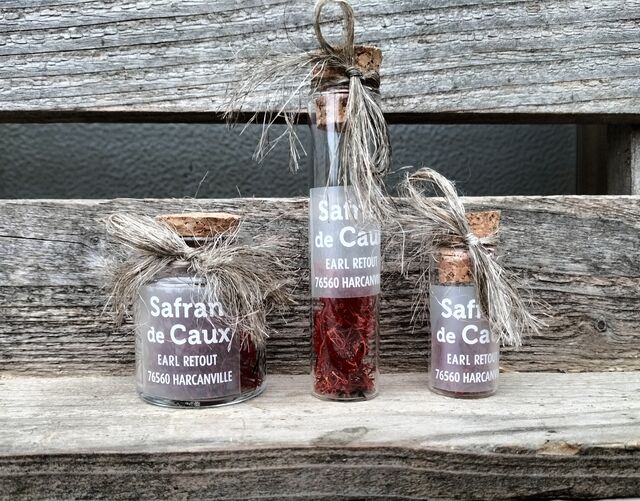 Safran de Caux