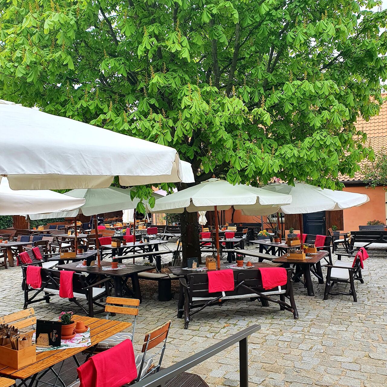 Außenbereich Spargelsaison