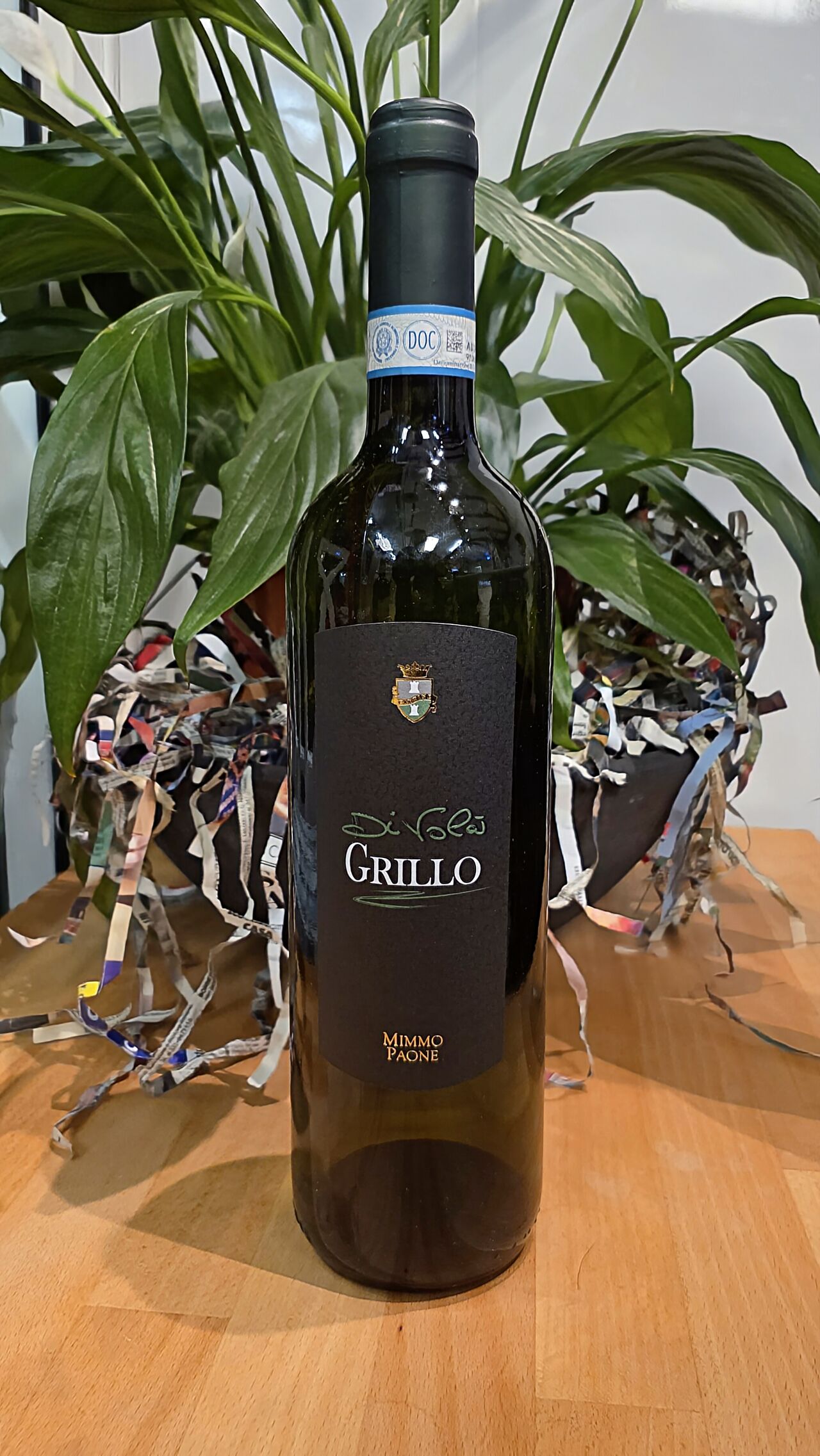 Divolà Grillo
