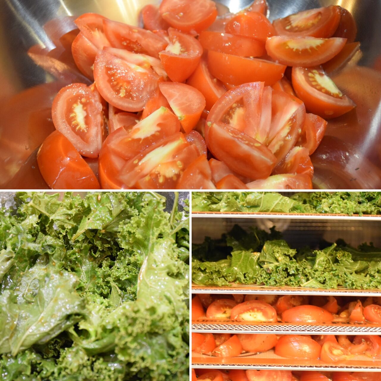 Déshydratation Maison