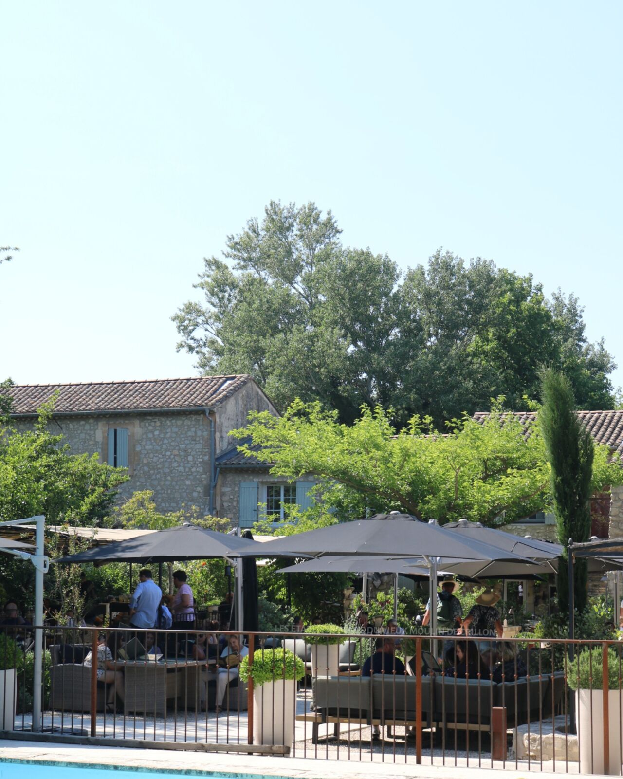 Un charmant glacier en bord de Sorgue
