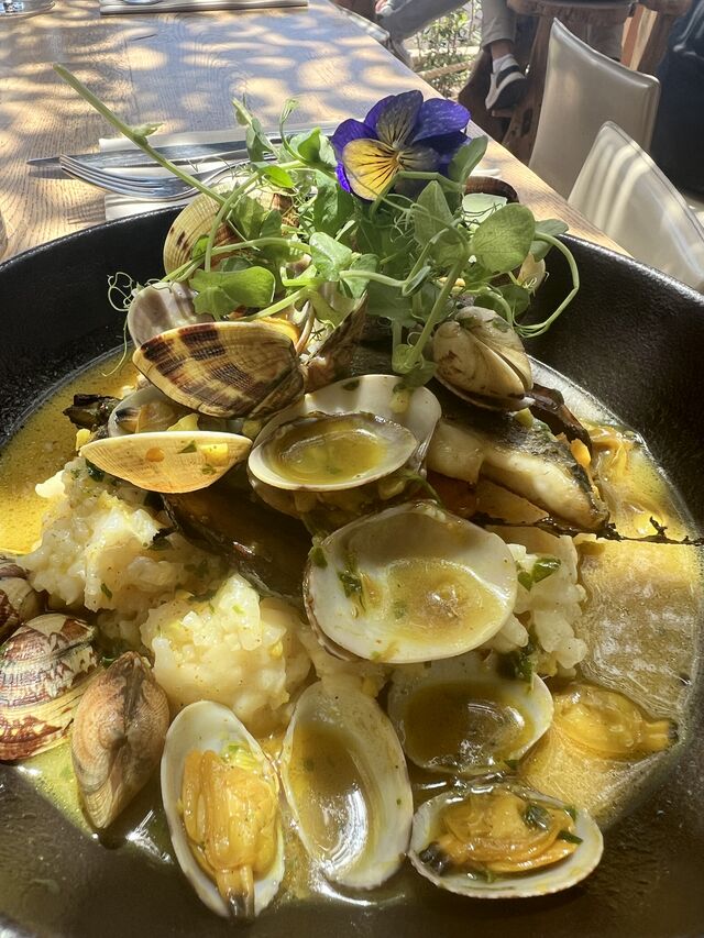 Filet de Daurade en nage de Palourdes