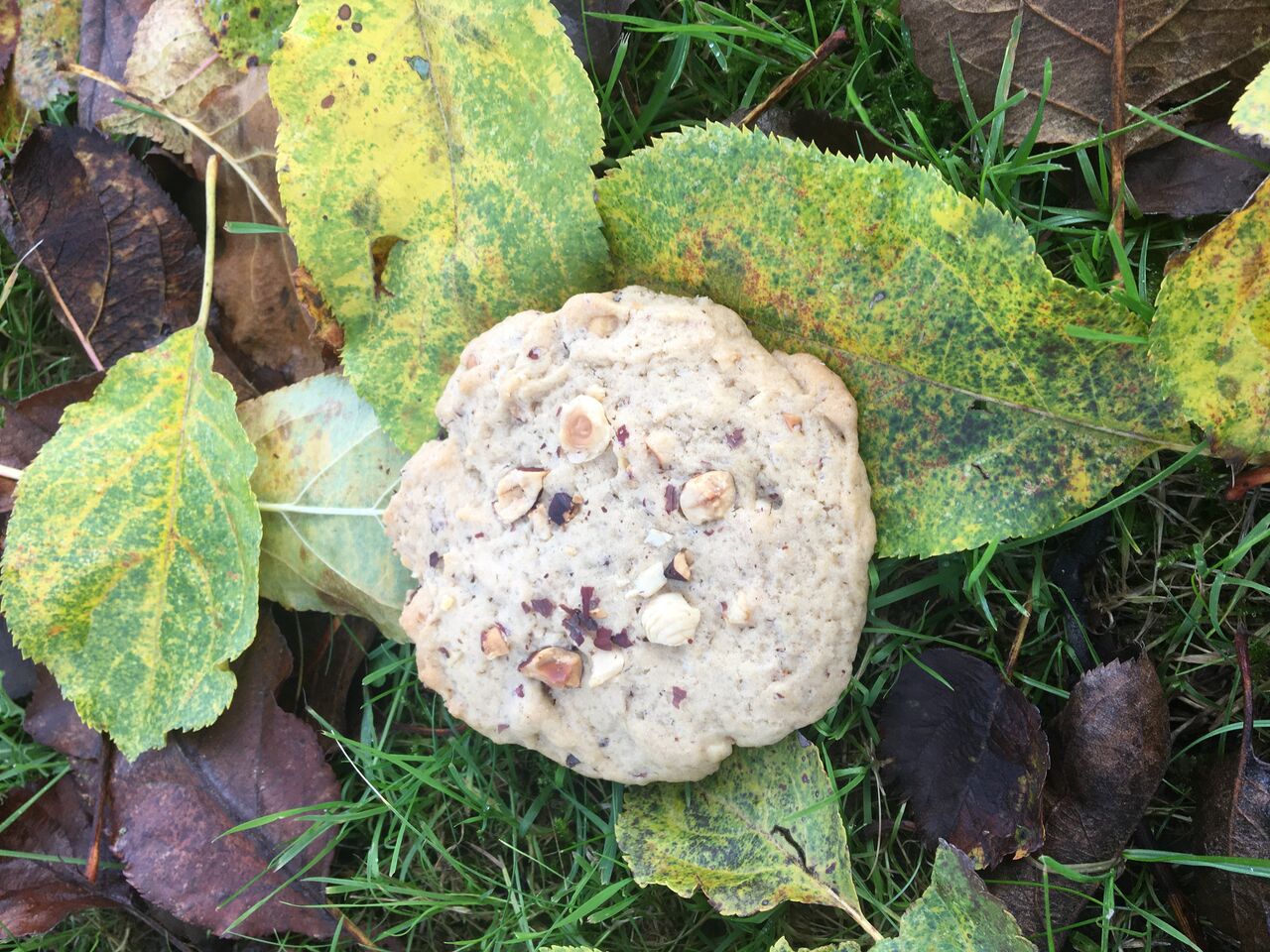 Cookie aux pépites de chocolat noir
Cookie chocolat blanc et noix de pécan-
Cookie aux pralines roses
le kg 35€
