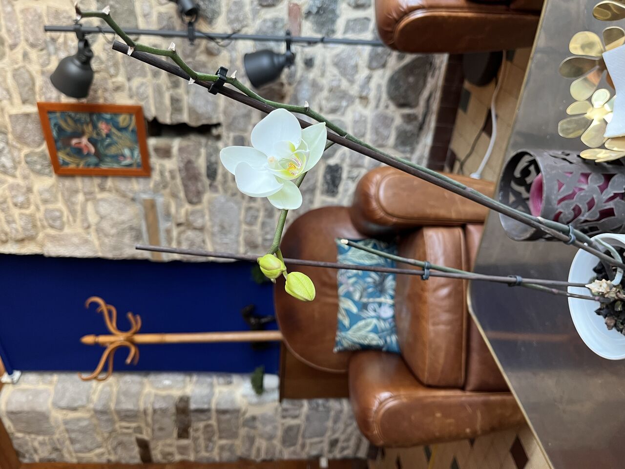 La récompense de la patience 