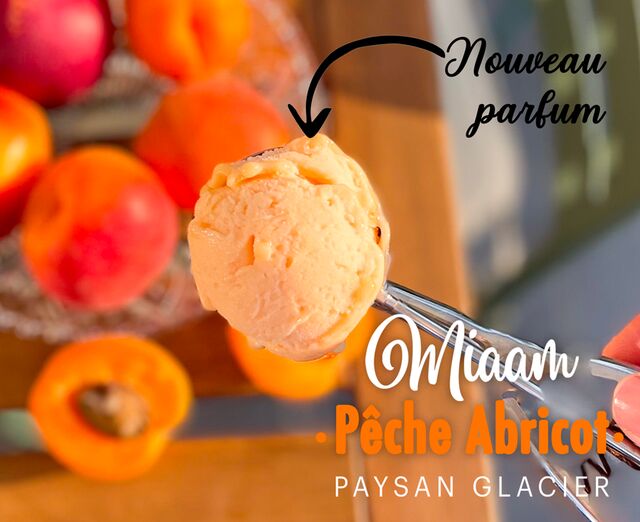 Sorbet plein fruit pêche/ abricot 