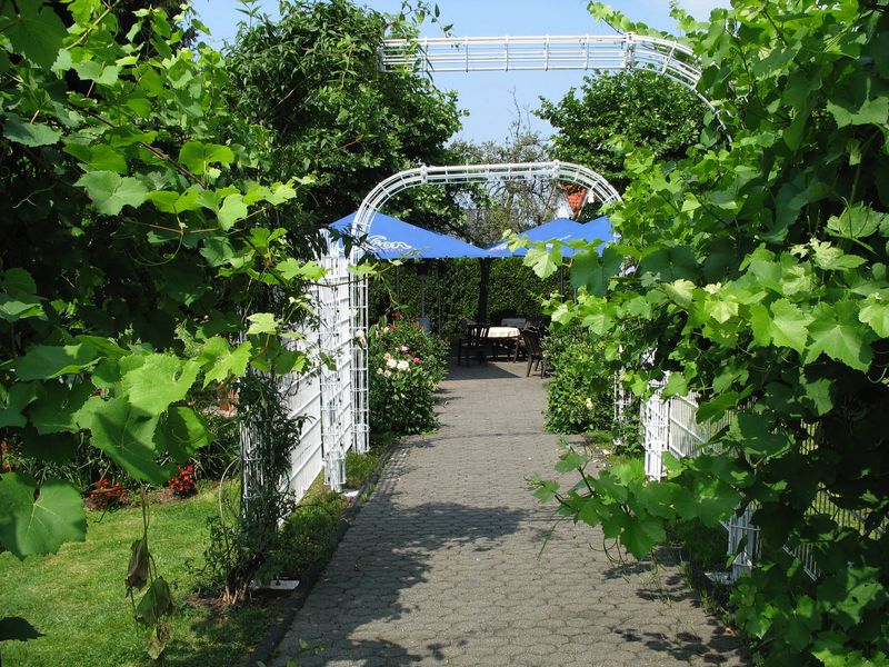 Unser gemütlicher Biergarten