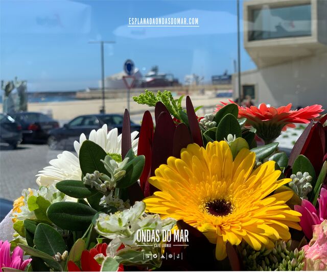 Exterior, Esplanada Ondas do Mar
esplanadaondasdomar.com