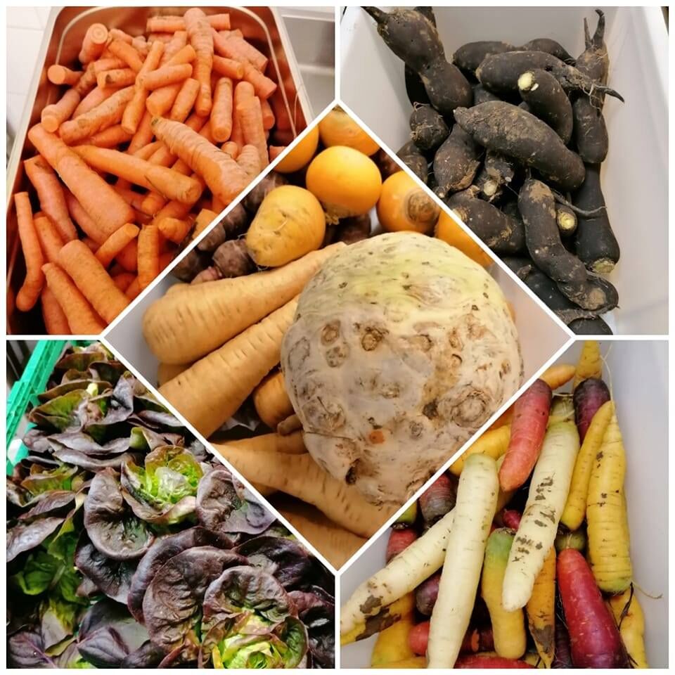 🥗 Nous travaillons principalement des produits d'antan !