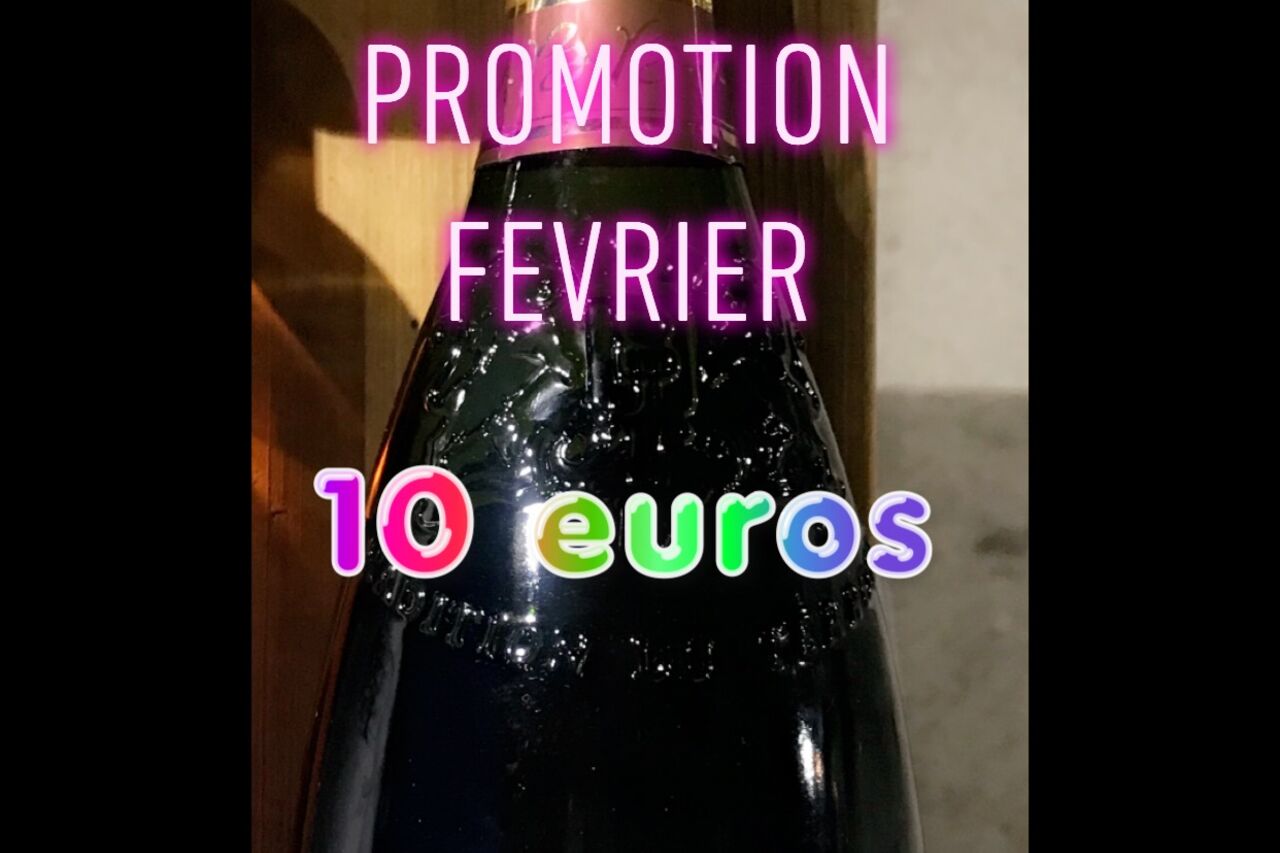 Promotion du mois de février