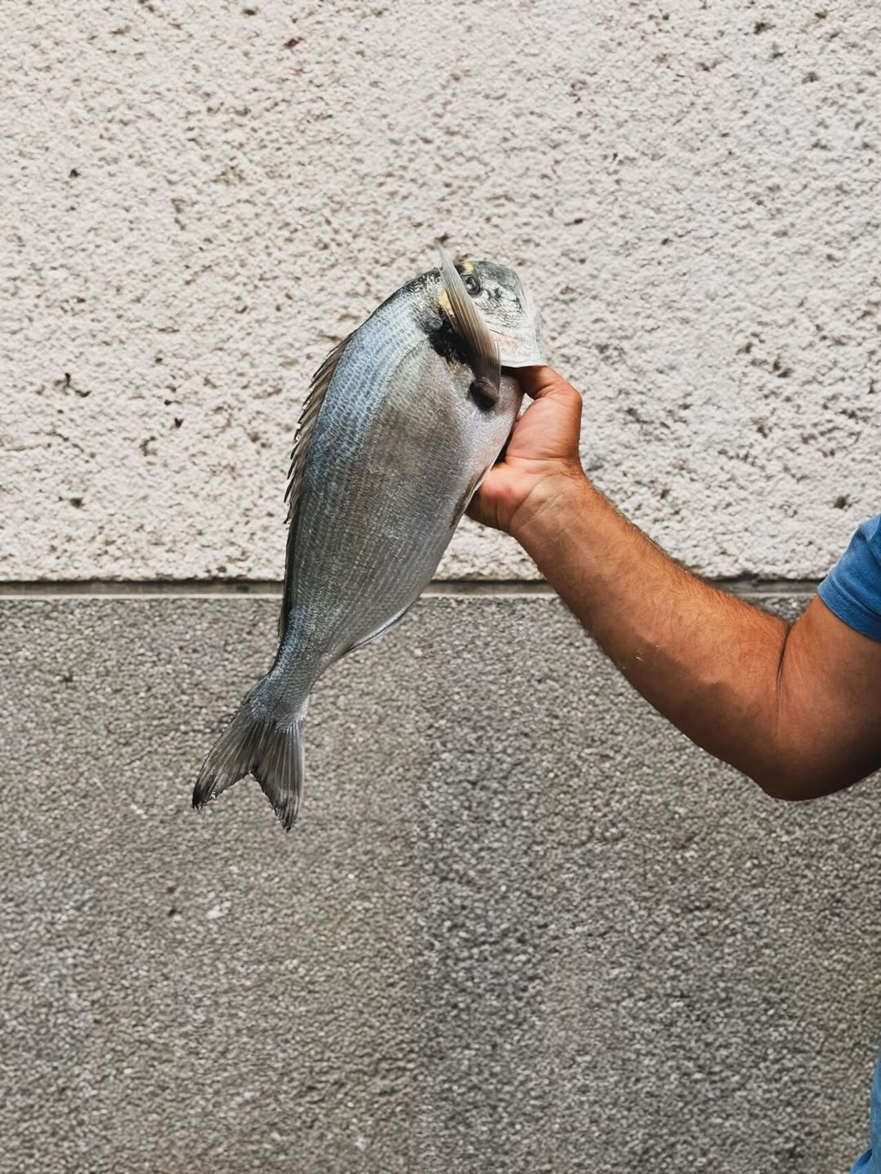 Najbolji ulov za Vaš stol