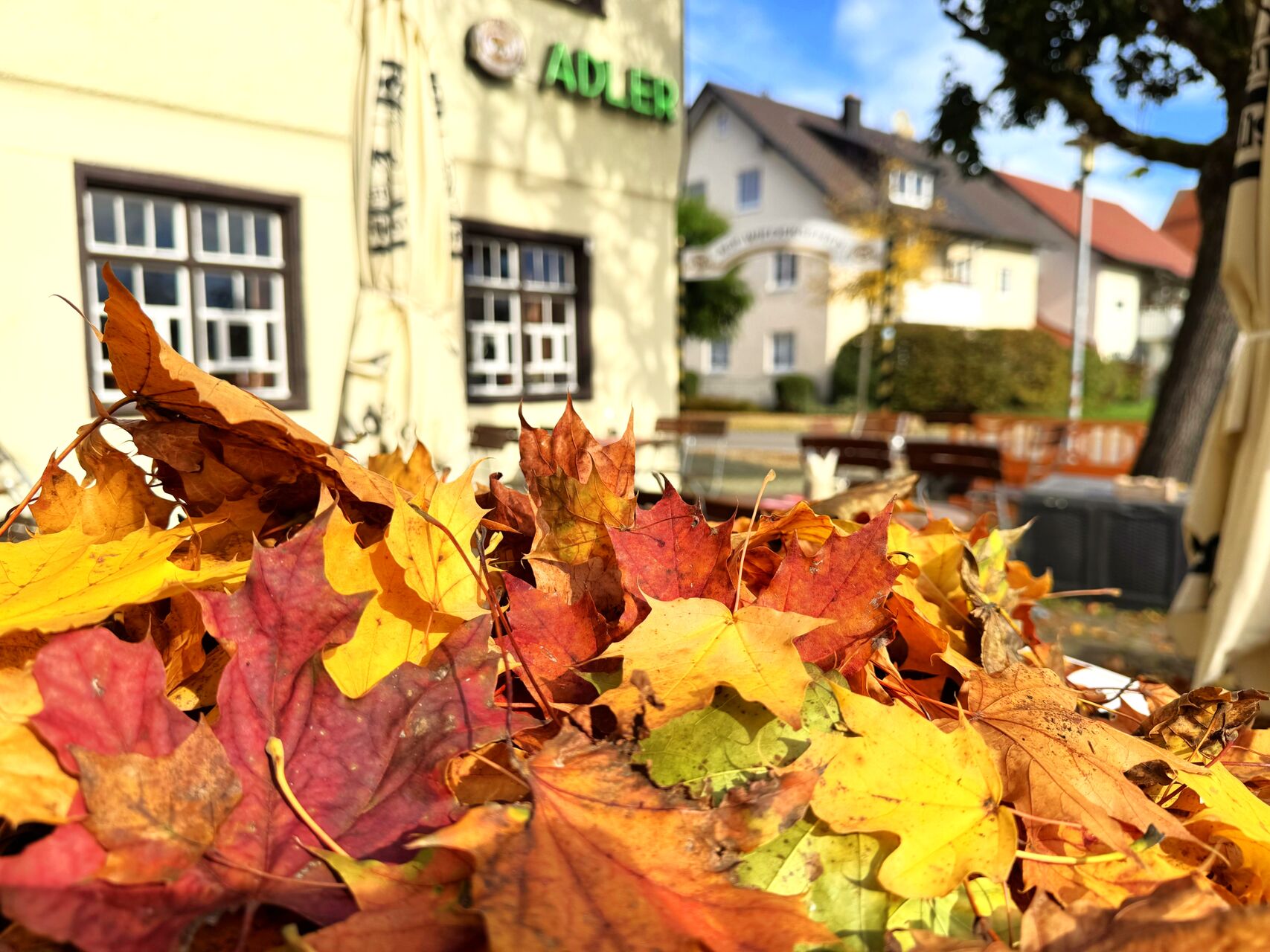 Biergarten-Saison 2025