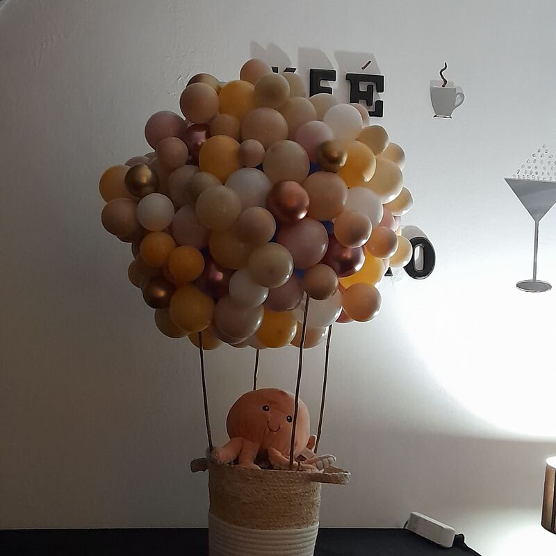 Départ en montgolfière pour la jolie princesse