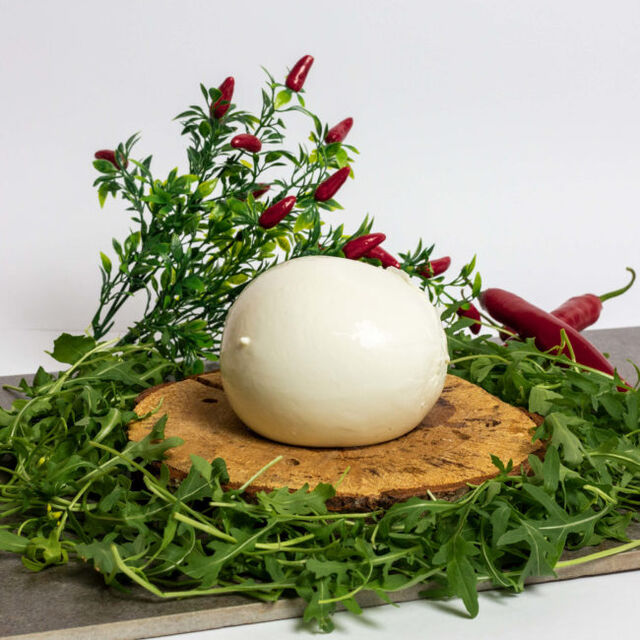 Mozzarella di Bufala Campana DOP
