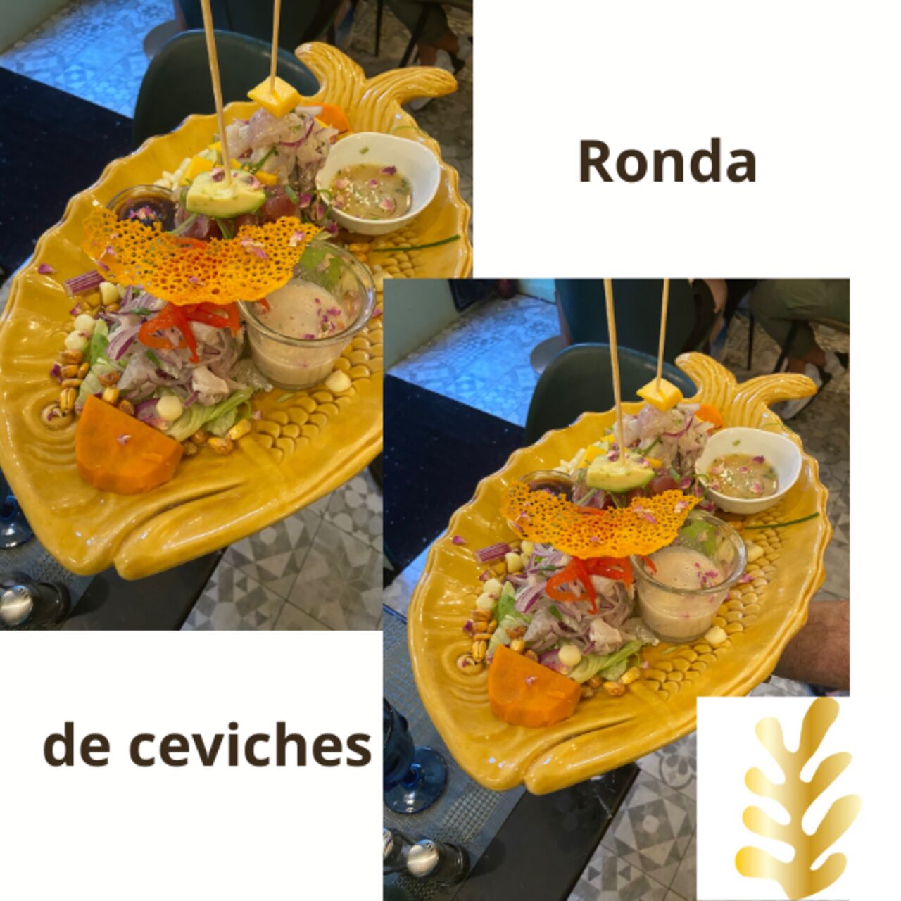 RONDA DE CEVICHES